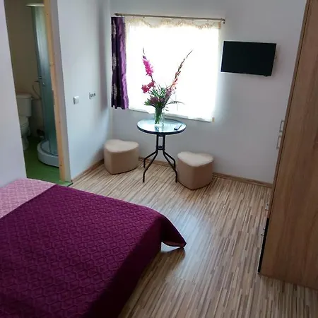 Vila Arisa Pensión Constanţa